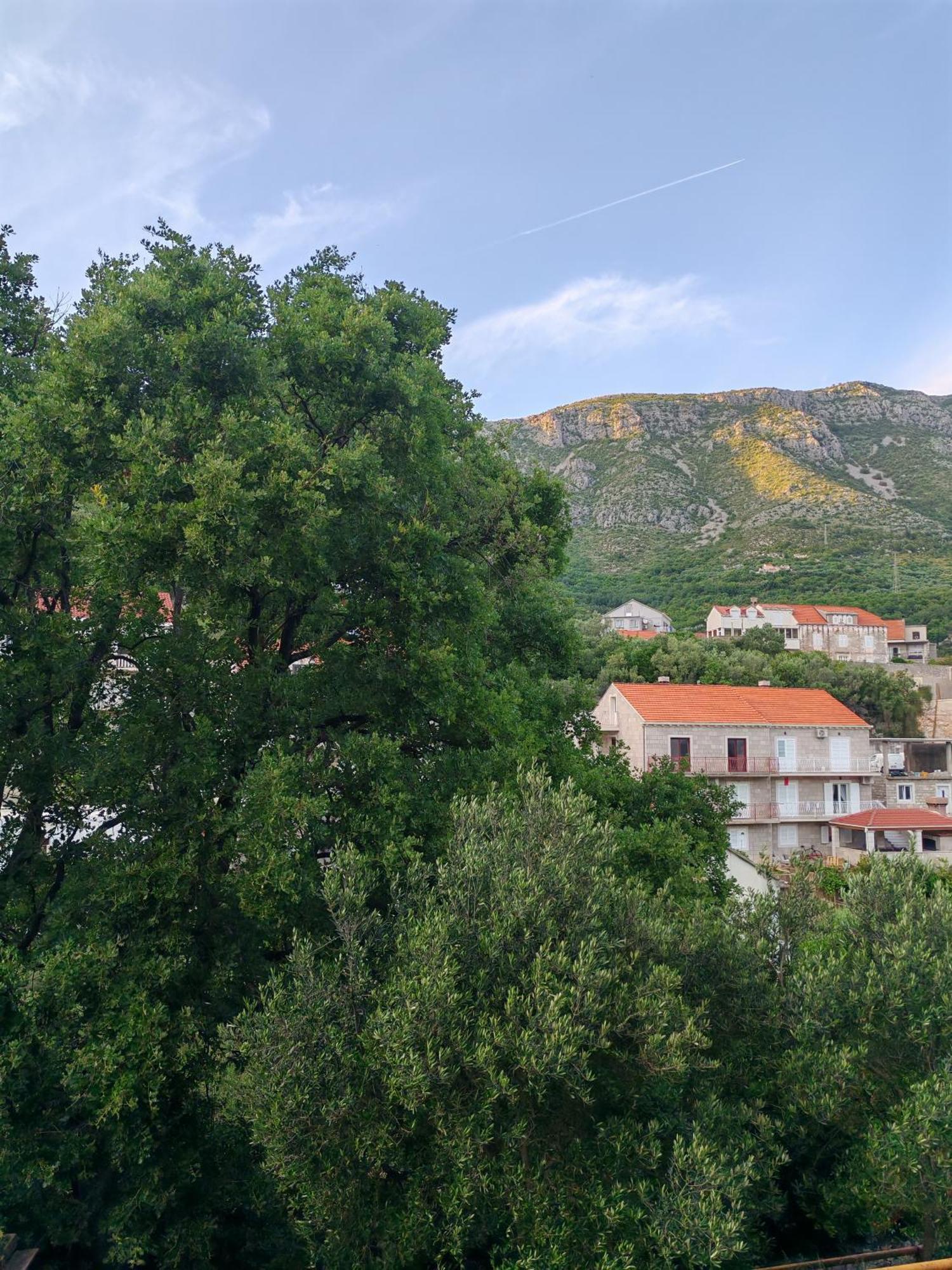 Apartment Oscar Mokošica Pokoj fotografie